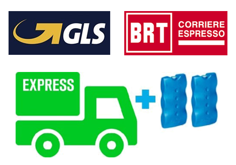 Corriere Espresso GLS