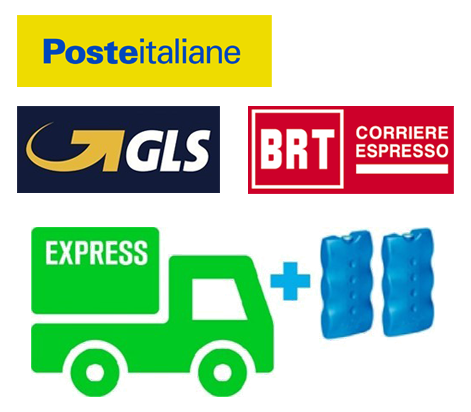 Corriere Espresso GLS